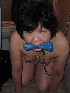 photo gallery id 247511