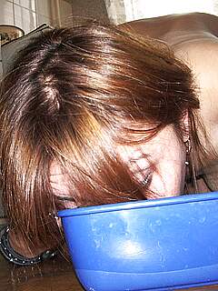 photo gallery id 248804