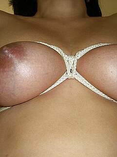 photo gallery id 248815