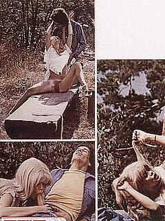 photo gallery id 252813