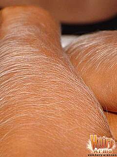 photo gallery id 254694