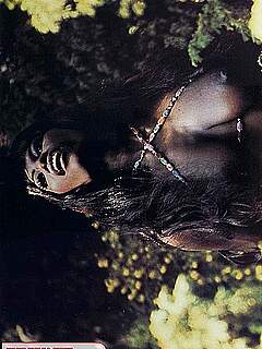 photo gallery id 255907