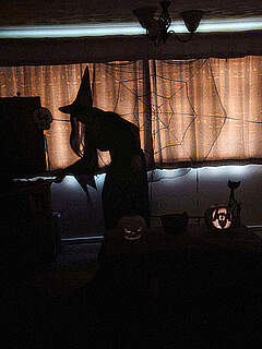 photo gallery id 255995