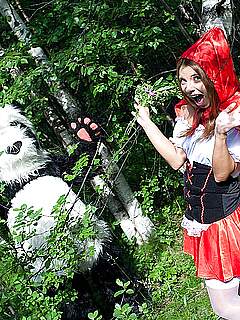 photo gallery id 261190