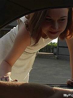 photo gallery id 264573