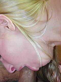 photo gallery id 265523