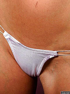 photo gallery id 267704