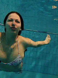 photo gallery id 272506