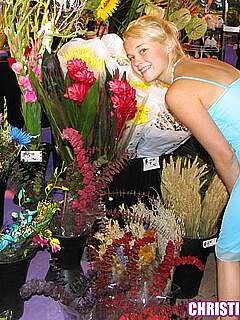 photo gallery id 272773