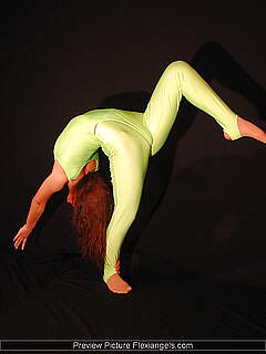 photo gallery id 282739