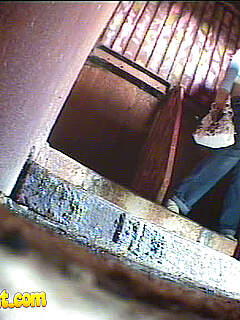 photo gallery id 297204