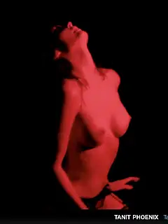 photo gallery id 305767