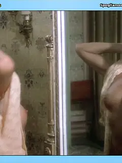 photo gallery id 311796