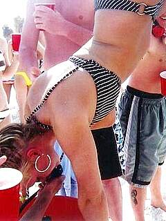 photo gallery id 312102