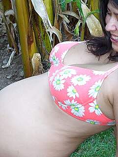 photo gallery id 312139