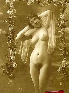 photo gallery id 317070
